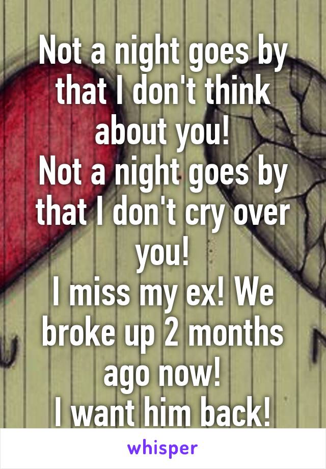 Not a night goes by that I don't think about you!
Not a night goes by that I don't cry over you!
I miss my ex! We broke up 2 months ago now!
I want him back!