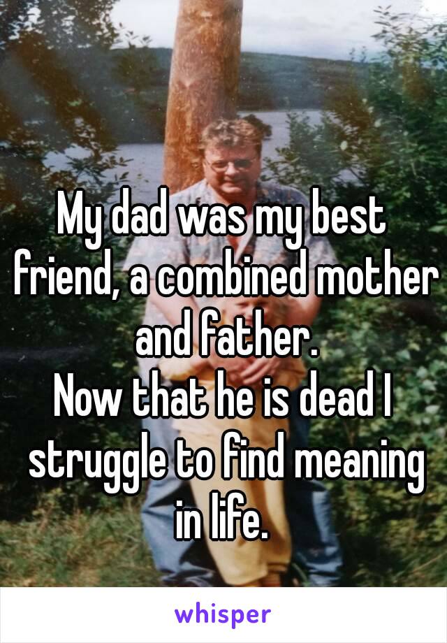 My dad was my best friend, a combined mother and father.
Now that he is dead I struggle to find meaning in life. 