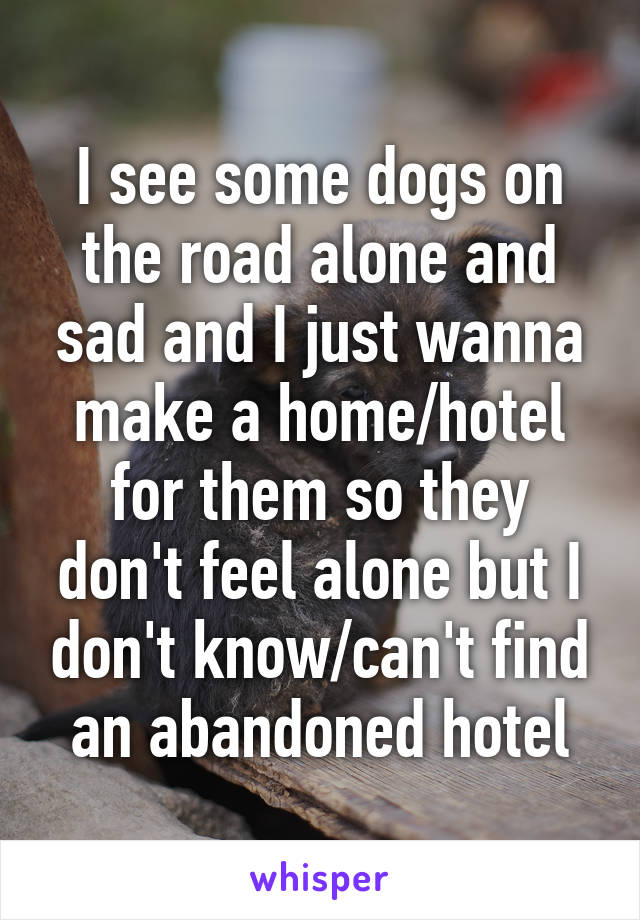 I see some dogs on the road alone and sad and I just wanna make a home/hotel for them so they don't feel alone but I don't know/can't find an abandoned hotel