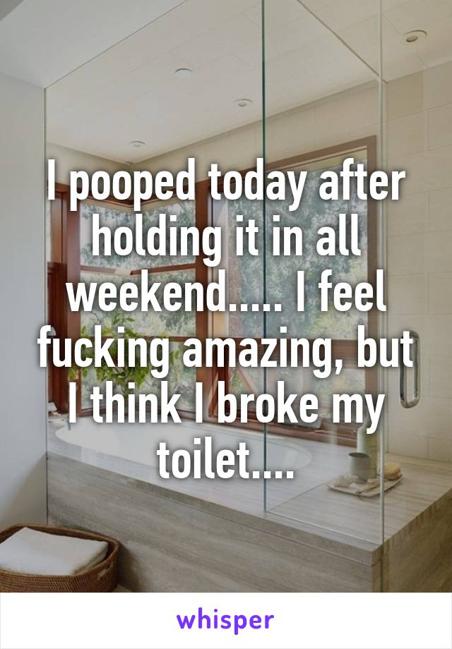 I pooped today after holding it in all weekend..... I feel fucking amazing, but I think I broke my toilet....