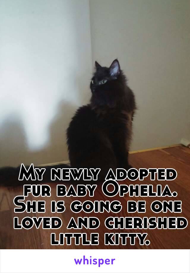 My newly adopted fur baby Ophelia.
She is going be one loved and cherished little kitty.