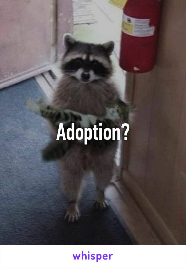 Adoption?