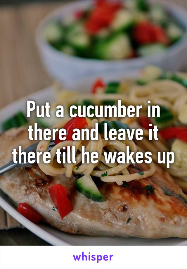 Put a cucumber in there and leave it there till he wakes up