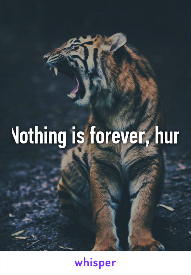 Nothing is forever, hun