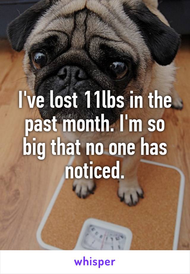 I've lost 11lbs in the past month. I'm so big that no one has noticed.