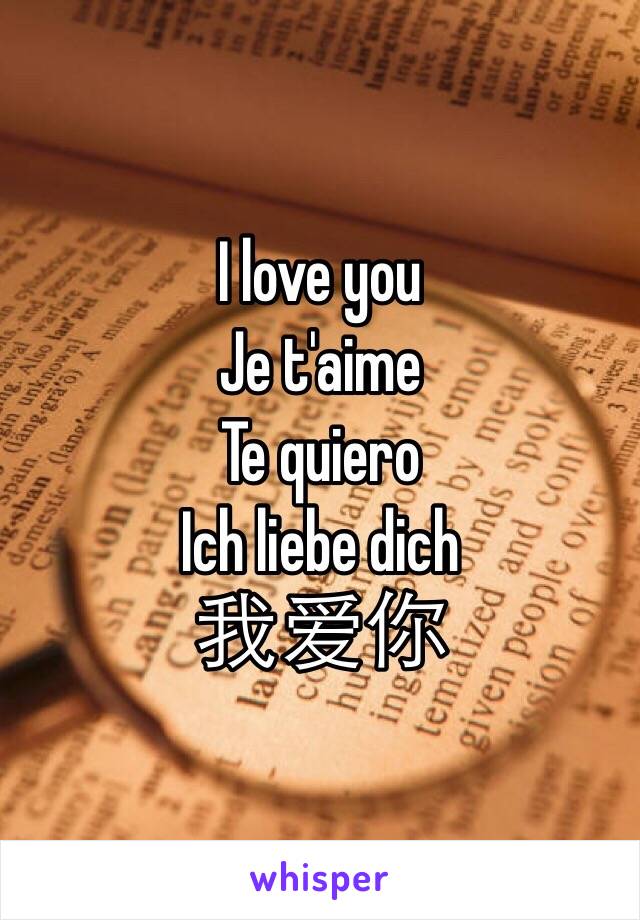 I love you
Je t'aime
Te quiero
Ich liebe dich 
我爱你