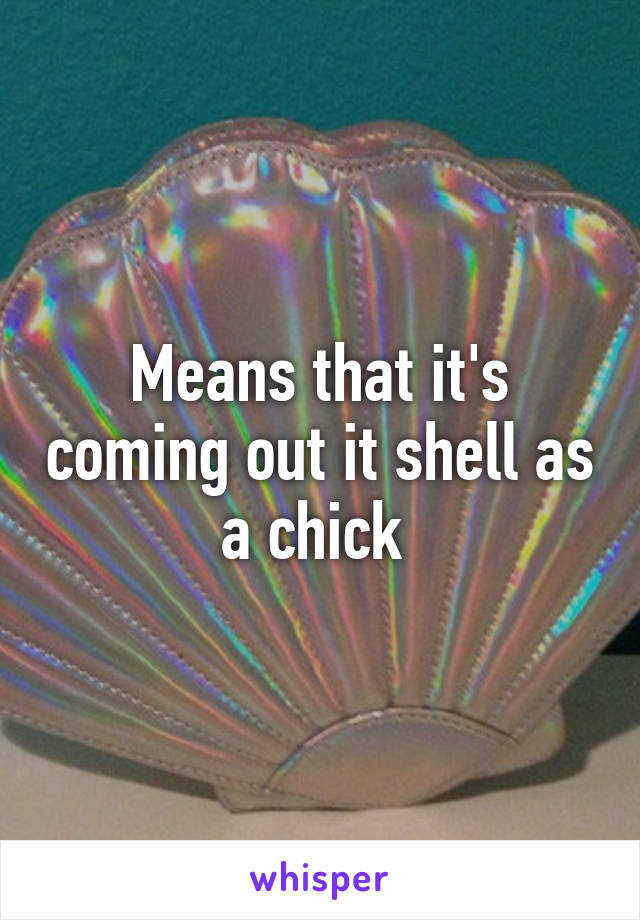 Means that it's coming out it shell as a chick 