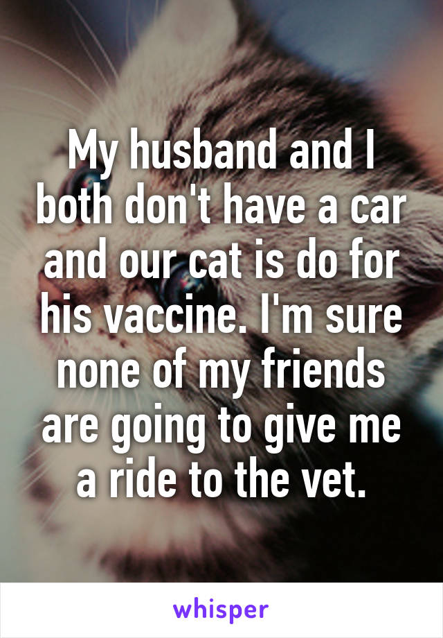 My husband and I both don't have a car and our cat is do for his vaccine. I'm sure none of my friends are going to give me a ride to the vet.