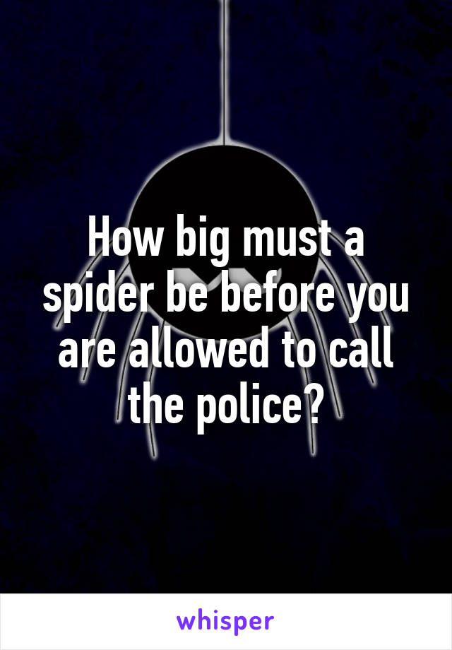 How big must a spider be before you are allowed to call the police?