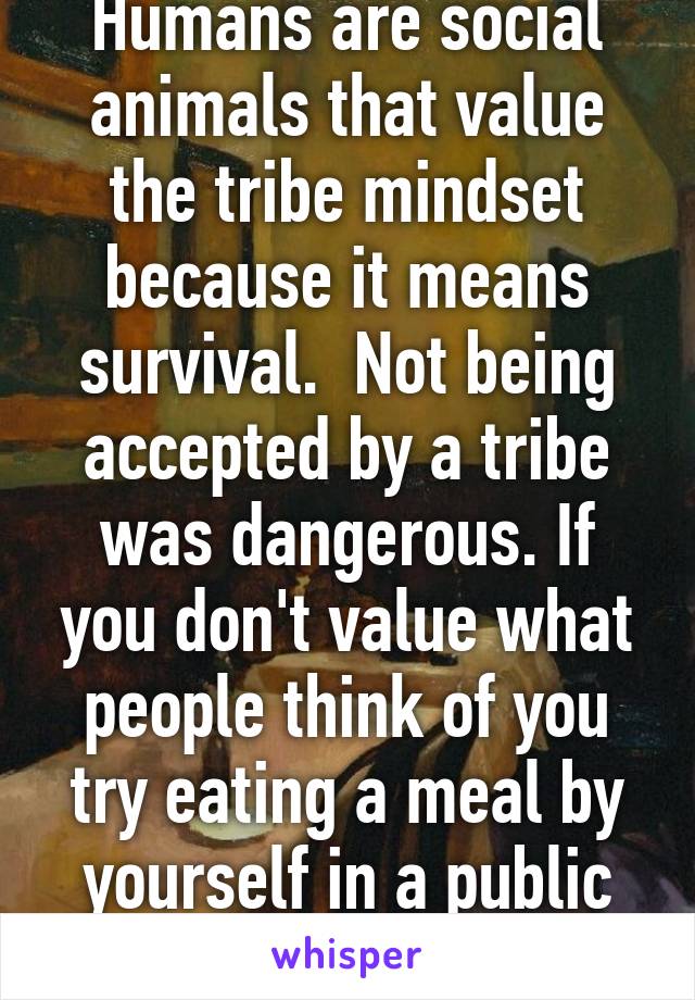 Humans are social animals that value the tribe mindset because it means  survival. Not being accepted