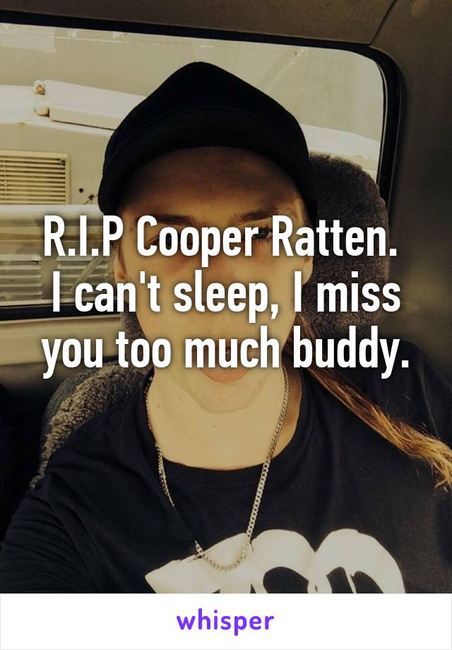 R.I.P Cooper Ratten. 
I can't sleep, I miss you too much buddy.
