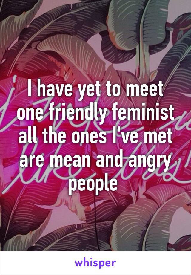 I have yet to meet one friendly feminist all the ones I've met are mean and angry people 