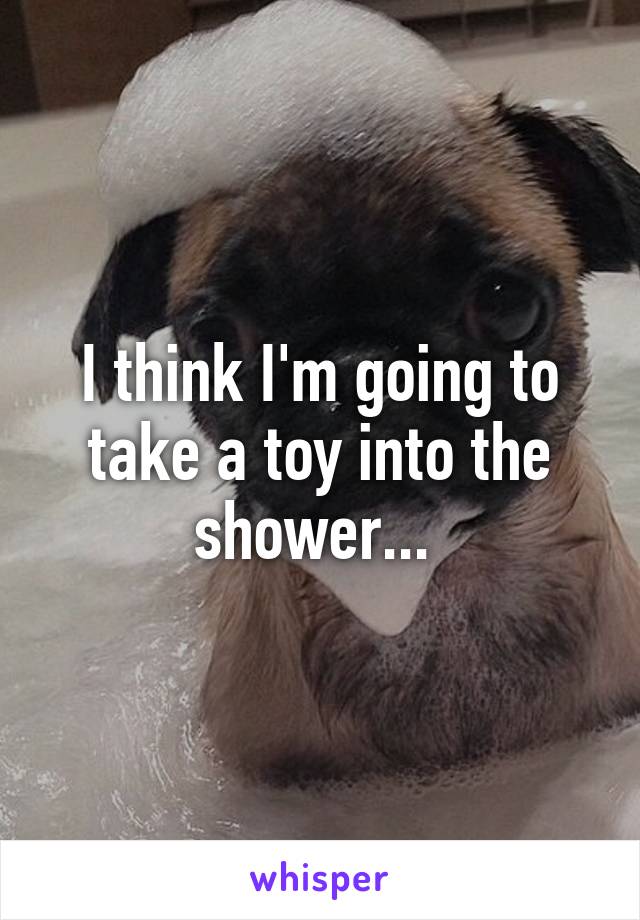 I think I'm going to take a toy into the shower... 