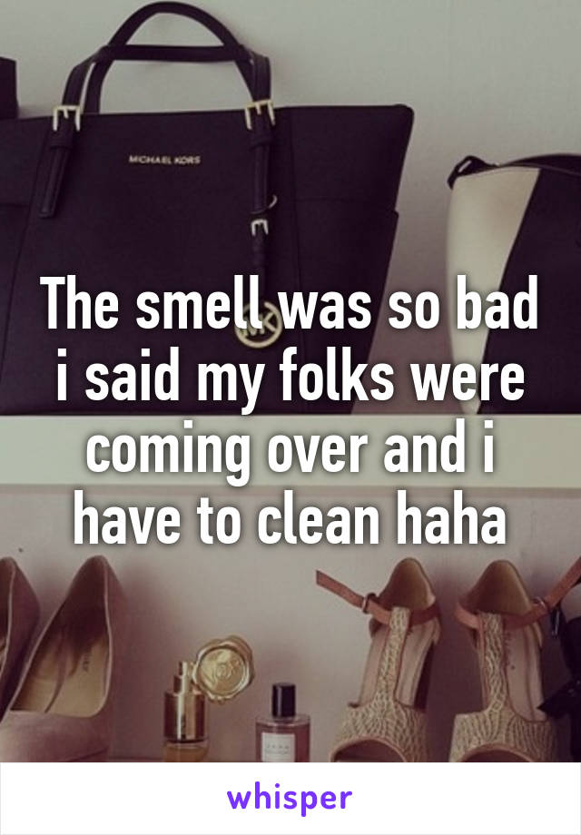 The smell was so bad i said my folks were coming over and i have to clean haha