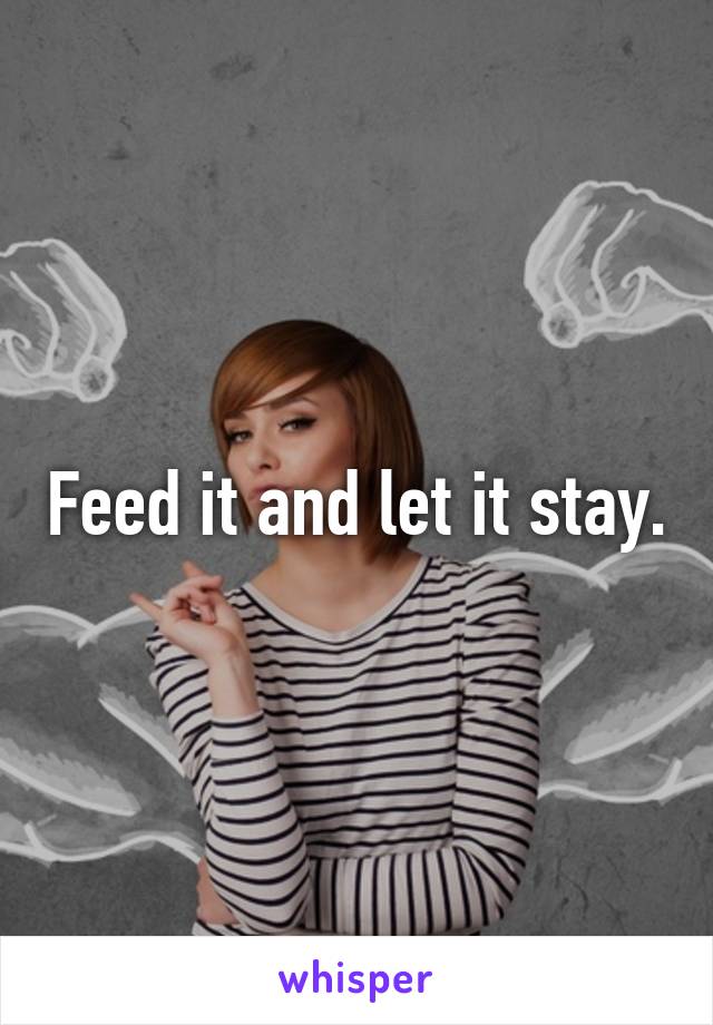 Feed it and let it stay.