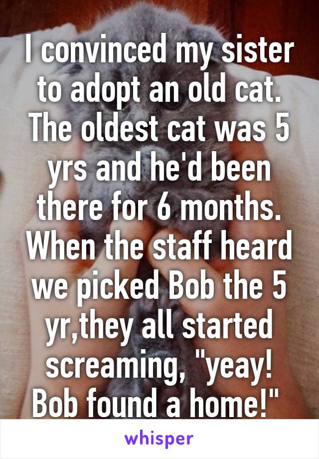 I convinced my sister to adopt an old cat. The oldest cat was 5 yrs and he'd been there for 6 months. When the staff heard we picked Bob the 5 yr,they all started screaming, "yeay! Bob found a home!" 