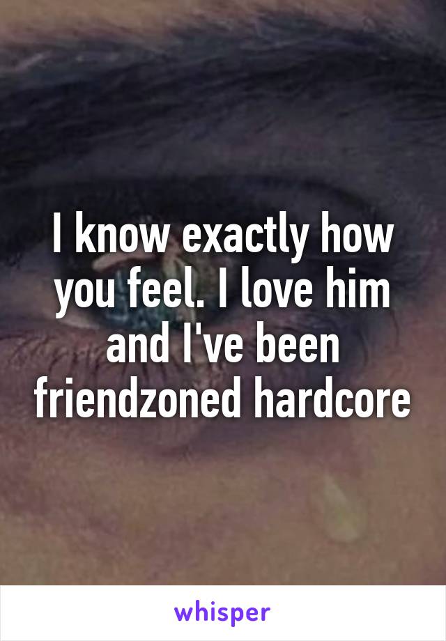 I know exactly how you feel. I love him and I've been friendzoned hardcore