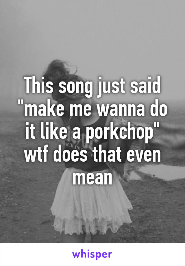 This song just said "make me wanna do it like a porkchop" wtf does that even mean