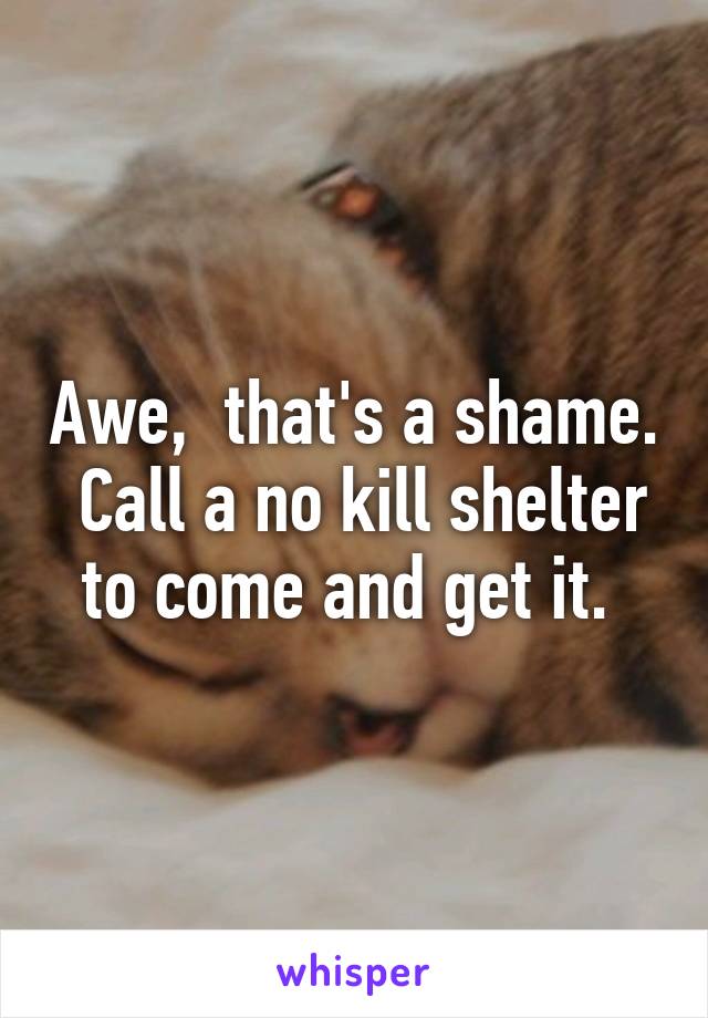 Awe,  that's a shame.  Call a no kill shelter to come and get it. 