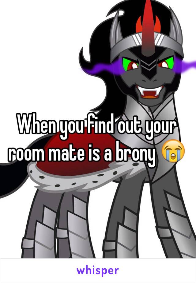 When you find out your room mate is a brony 😭