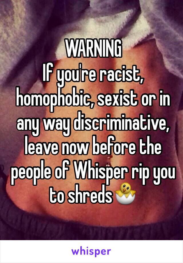 WARNING
If you're racist, homophobic, sexist or in any way discriminative, leave now before the people of Whisper rip you to shreds🐣