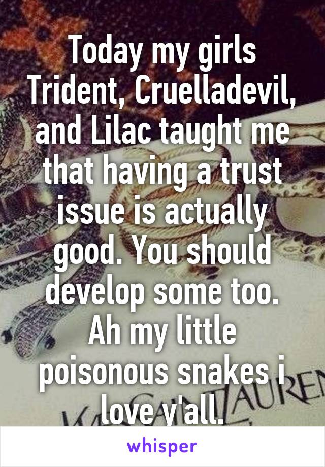 Today my girls Trident, Cruelladevil, and Lilac taught me that having a trust issue is actually good. You should develop some too.
Ah my little poisonous snakes i love y'all.