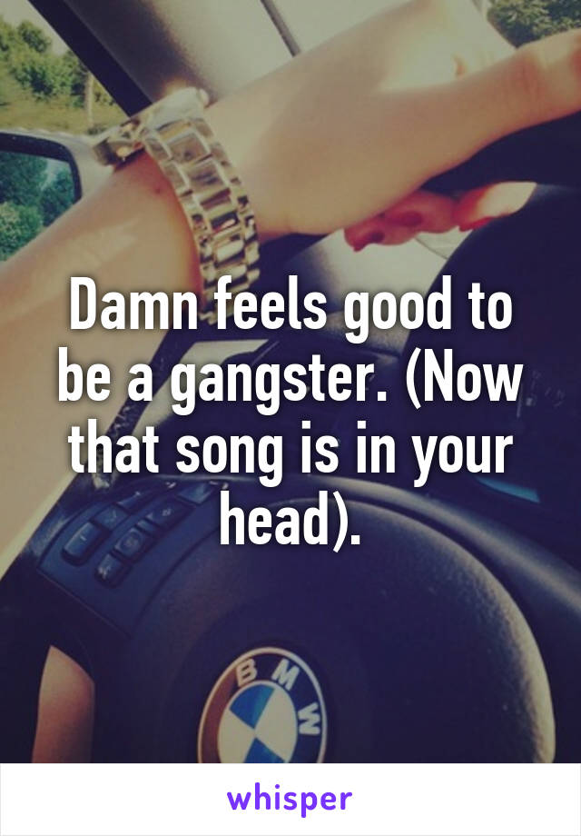 Damn feels good to be a gangster. (Now that song is in your head).