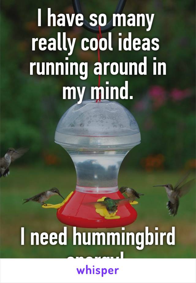 I have so many 
really cool ideas 
running around in my mind.





I need hummingbird energy! 