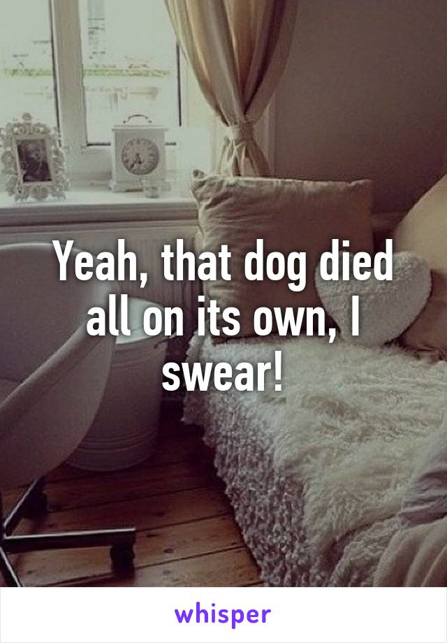 Yeah, that dog died all on its own, I swear!