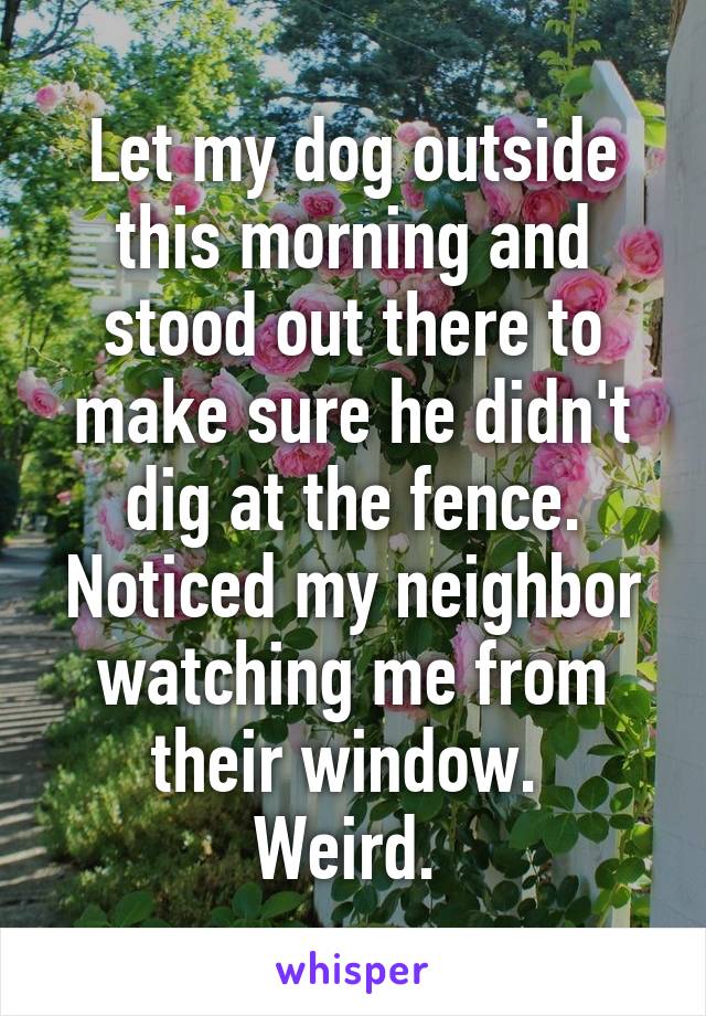 Let my dog outside this morning and stood out there to make sure he didn't dig at the fence. Noticed my neighbor watching me from their window. 
Weird. 