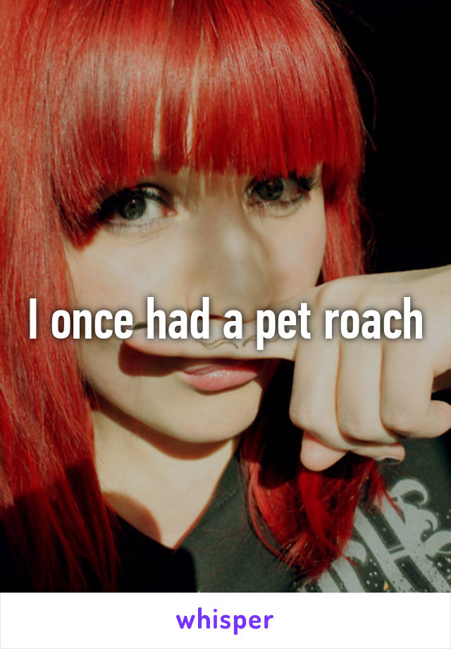 I once had a pet roach
