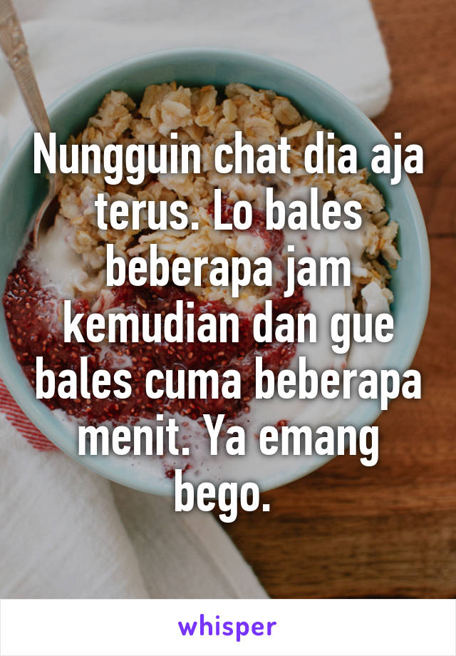 Nungguin chat dia aja terus. Lo bales beberapa jam kemudian dan gue bales cuma beberapa menit. Ya emang bego. 