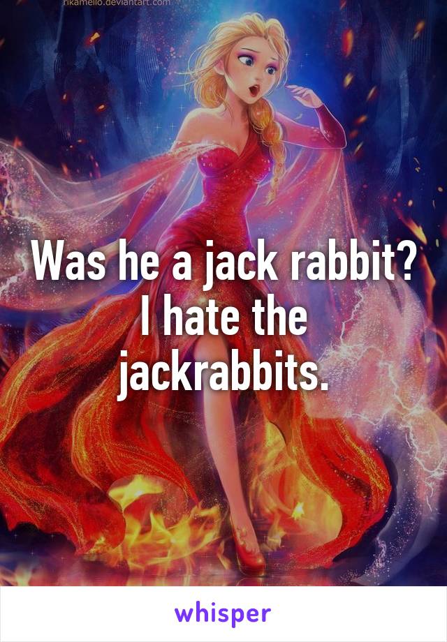 Was he a jack rabbit?
I hate the jackrabbits.