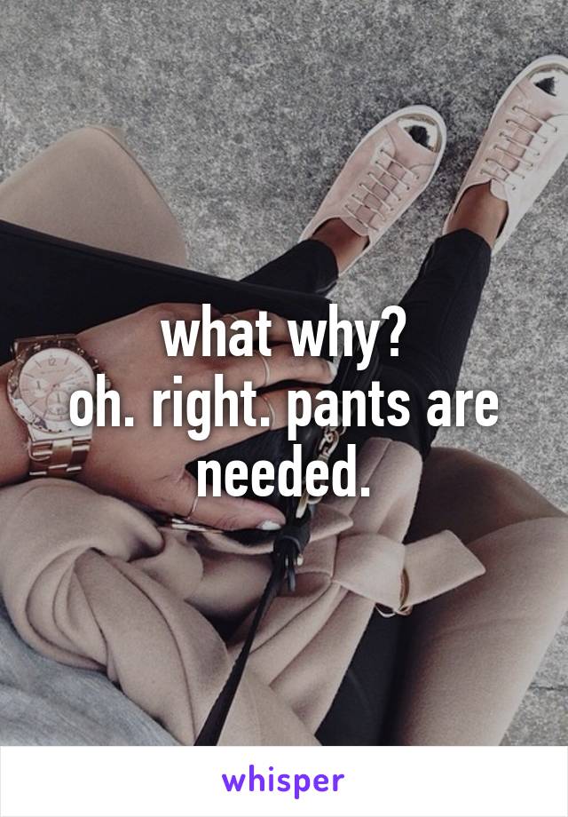 what why?
oh. right. pants are needed.
