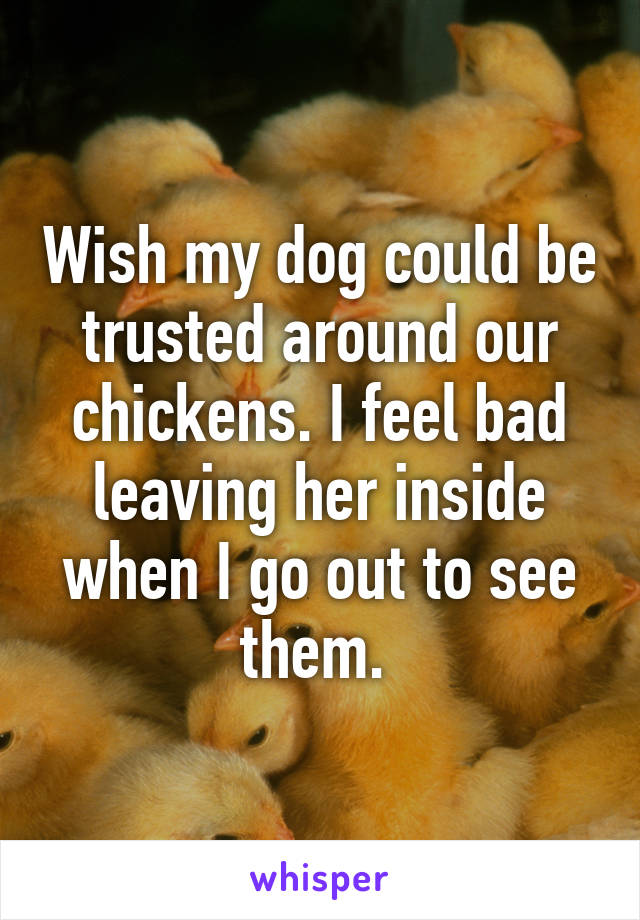 Wish my dog could be trusted around our chickens. I feel bad leaving her inside when I go out to see them. 