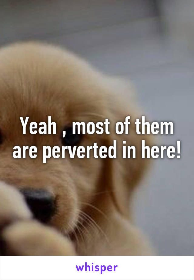 Yeah , most of them are perverted in here!