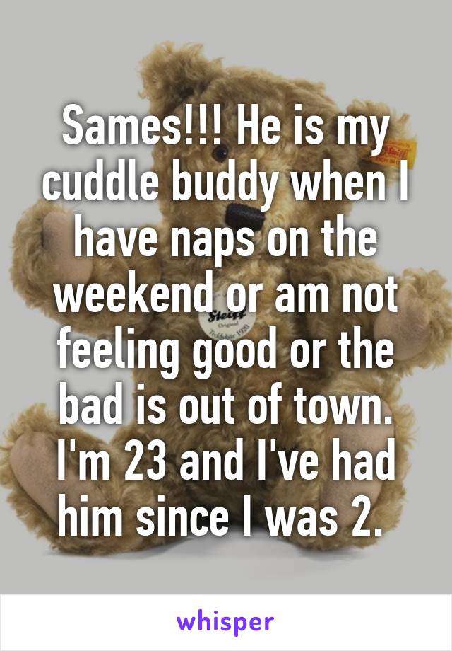 Sames!!! He is my cuddle buddy when I have naps on the weekend or am not feeling good or the bad is out of town. I'm 23 and I've had him since I was 2. 