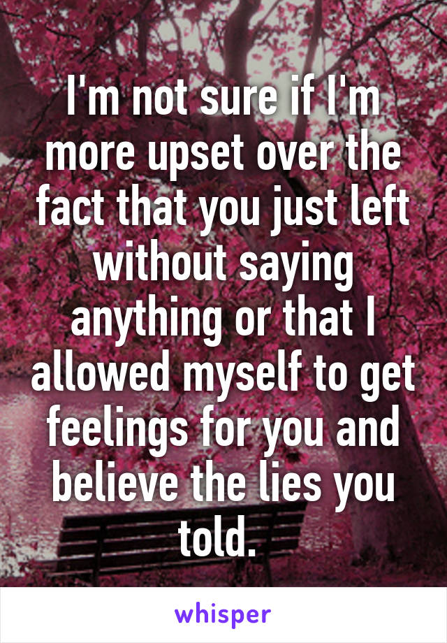 I'm not sure if I'm more upset over the fact that you just left without saying anything or that I allowed myself to get feelings for you and believe the lies you told. 