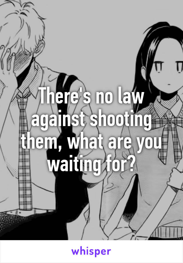 There's no law against shooting them, what are you waiting for?