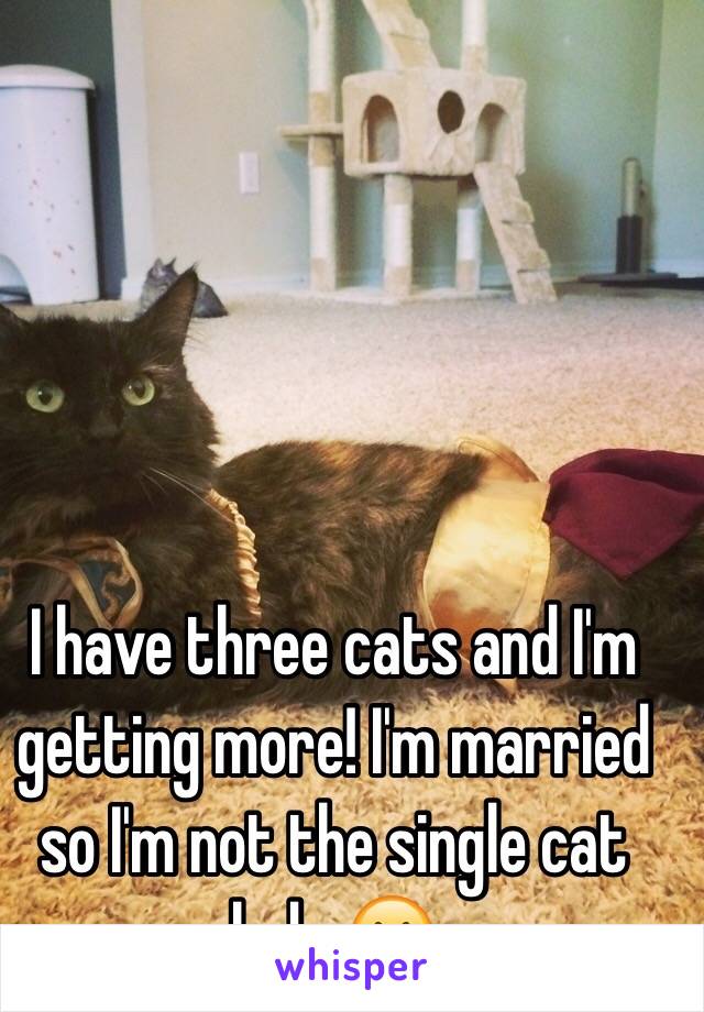 I have three cats and I'm getting more! I'm married so I'm not the single cat lady 😋