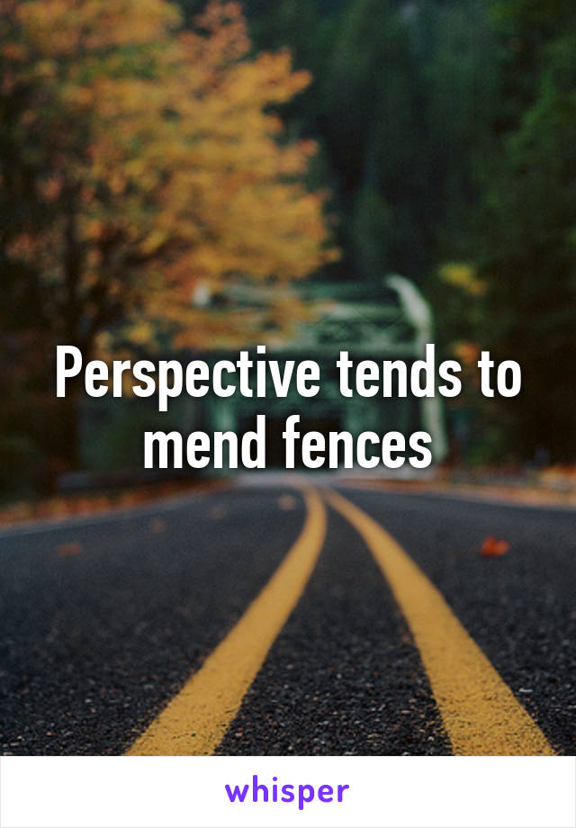 Perspective tends to mend fences