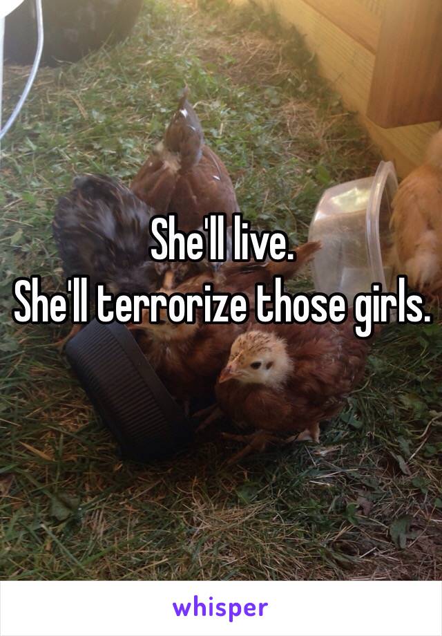 She'll live.
She'll terrorize those girls.