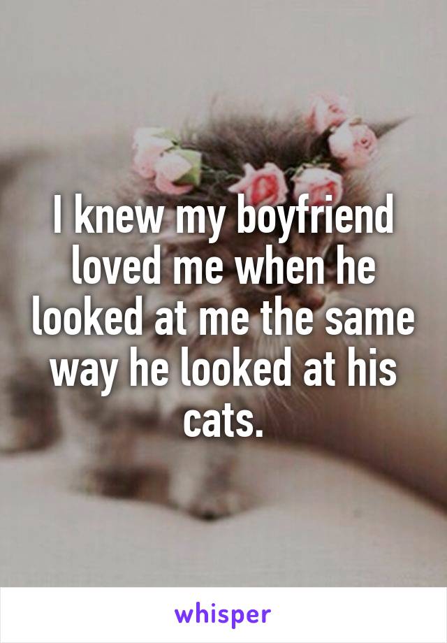 I knew my boyfriend loved me when he looked at me the same way he looked at his cats.