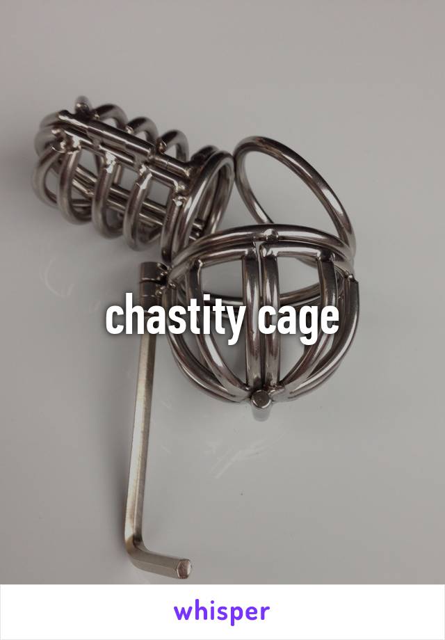 chastity cage