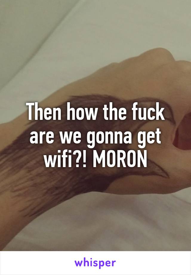 Then how the fuck are we gonna get wifi?! MORON