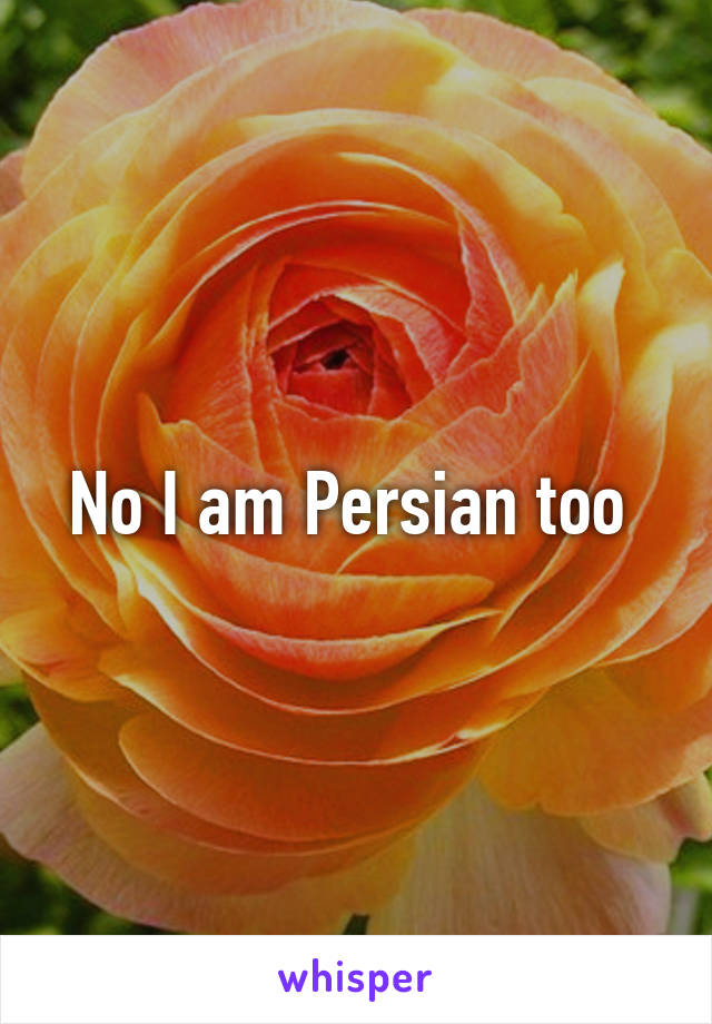 No I am Persian too 