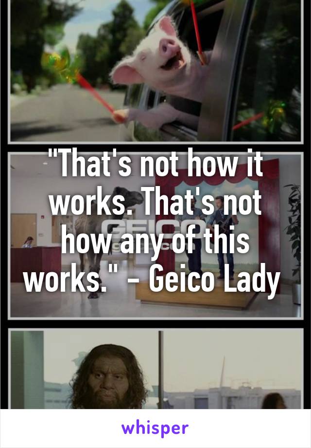 "That's not how it works. That's not how any of this works." - Geico Lady 