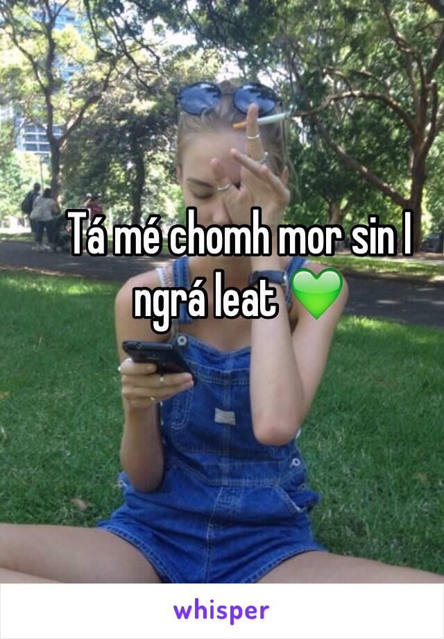 Tá mé chomh mor sin I ngrá leat 💚