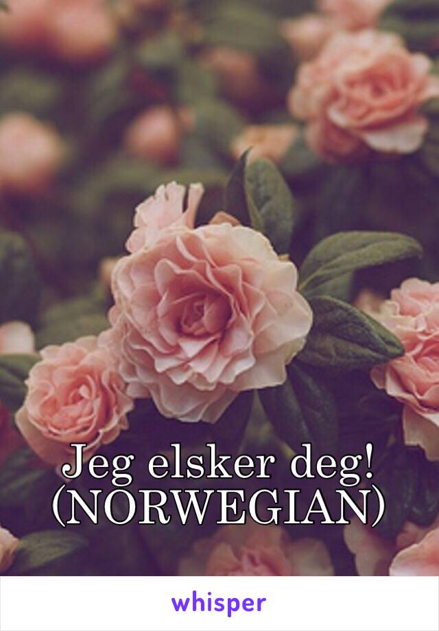 Jeg elsker deg!
(NORWEGIAN)