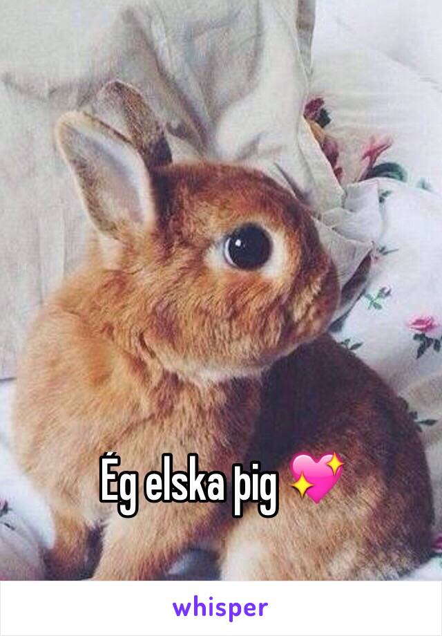 Ég elska þig 💖